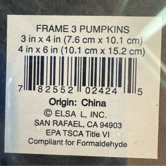 Pumpkin Picture Frame - Picture 4 of 4